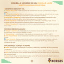 Mel de Abelha 100% puro 1 kg Florada Silvestre Apicultura Borges