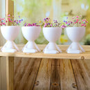 Kit 5 Vasinhos Decorativo Robert Plant Bob Para Sucul Branco