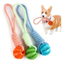 Brinquedo Pet Mordedor Corda Bolinha Interativo Caes Pestico Cor Verde
