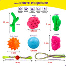 Kit 12 Brinquedo Mordedores Diversos P/ Cachorros Pequenos