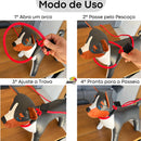 Guia Adestramento de Cães Coleira Unificada Educativa 2,00m