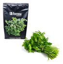 Sementes De Coentro Verdão - Contém 500 Gramas