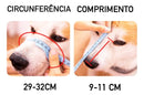 Focinheira Pitbull Cachorros Grandes Silicone
