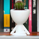 Kit 5 Vasinhos Decorativo Robert Plant Bob Para Sucul Branco