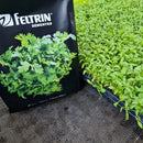 Sementes De Coentro Verdão - Contém 500 Gramas