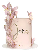 Vitrine Topo de Bolo de Borboletas Rosa e Dourada Mariposas Rosa Dorada Rosa Mariposas Pack 10 10