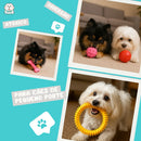 Brinquedos Para Cachorros Pet Kit 5und - Patas Fiéis