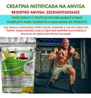 Creatina Pura Importada 600g Importada Com Laudo  Natural