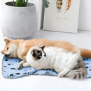 Bacon Born kit 2 mantas cobertor cachorro gato kit 2 macho