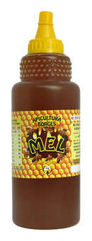 Mel de Abelha 100% puro 1 kg Florada Silvestre Apicultura Borges