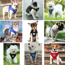 Coleira Peitoral Para Cães E Gatos Ajustáve Vermelho GG