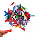 Kit 120 Mini Prendedor Pregador Colorido Natural Dr Colorido