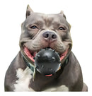 Brinquedo Para Cães Bola Grande Maciça Extra Forte 70mm Cor Azul