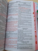 Kit 2 Bíblias Sagrada Do Casal Com Harpa E Corinhos