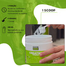 Creatina Monohidratada 100% Pura Pote 300g - Synthesize - Sem Sabor