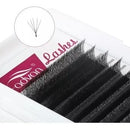 Cílios Fadvan W 5d Tamanho Único Volume Egípcio Comprimento 13 mm Cor Preto Espessura 0.07 mm Tipo de curvatura D