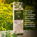 Incenso Nirvana - Linha Tradicional - Aromas Fragrância Arruda