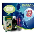 Kit 2x Dissol Suplemento Líquido 150ml - Phytoviver Natural