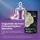 Microdose Life Lions Mane Juba de leão - Cogumelo do Foco Concentração e Memória - Life Pro 90 caps