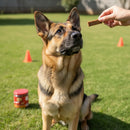 Dog Peti Super Premium Bifinho para Cães 1kg Carne Macio