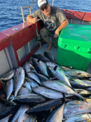 Linha Pesca Joyfox Multifilamento Verde 300m 4x 0.286mm 40lb