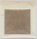 Curativo Silvercare Alginato de Cálcio com prata 10x10cm Vitamedical Caixa com 10 unidades - AA16066