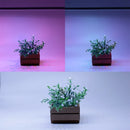 Luminária Aquário Plantado Led 12w 38cm A 50cm Aaatop